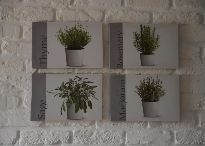 Ferienhaus Lavaux 60 La Roche-en-Ardenne